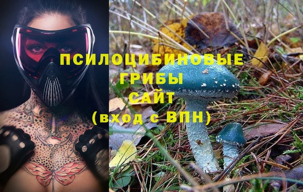 каннабис Каменногорск