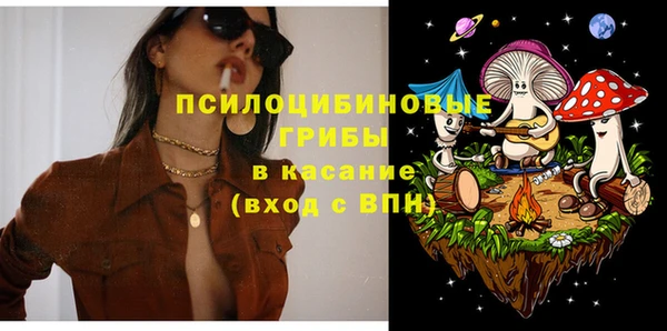 СК Каменск-Шахтинский